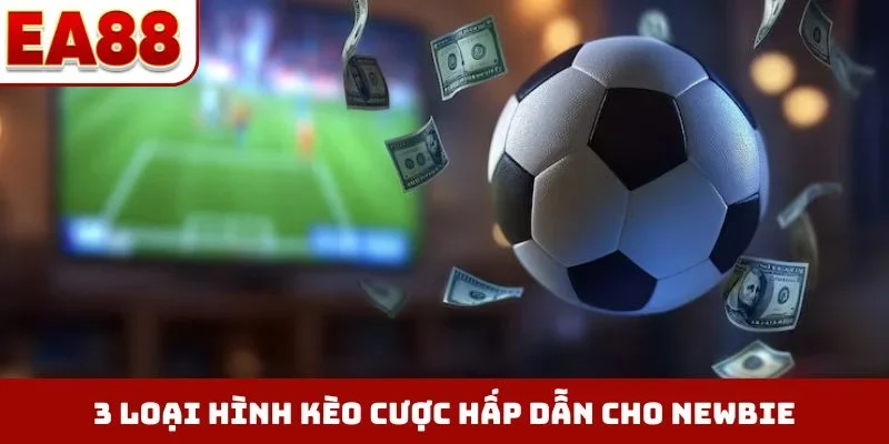 3 loại hình kèo cược hấp dẫn cho newbie