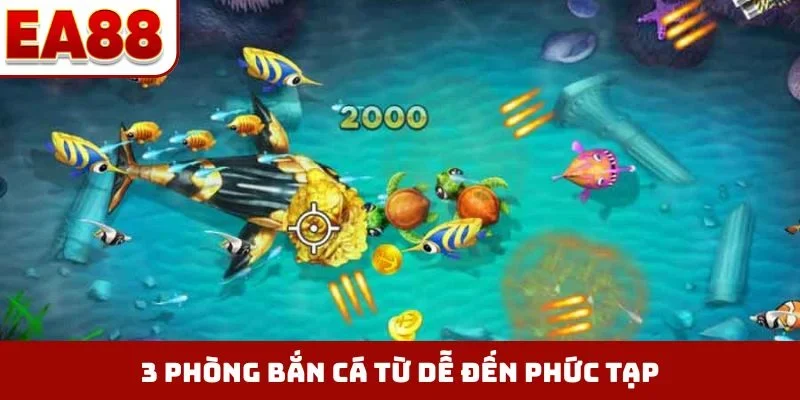 3 phòng bắn cá từ dễ đến phức tạp