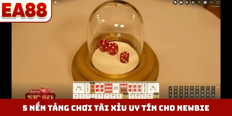 5 nền tảng chơi tài xỉu uy tín cho newbie