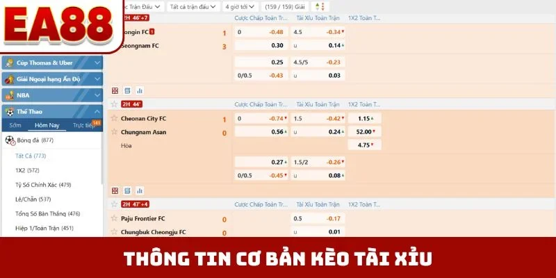 Thông tin cơ bản kèo tài xỉu