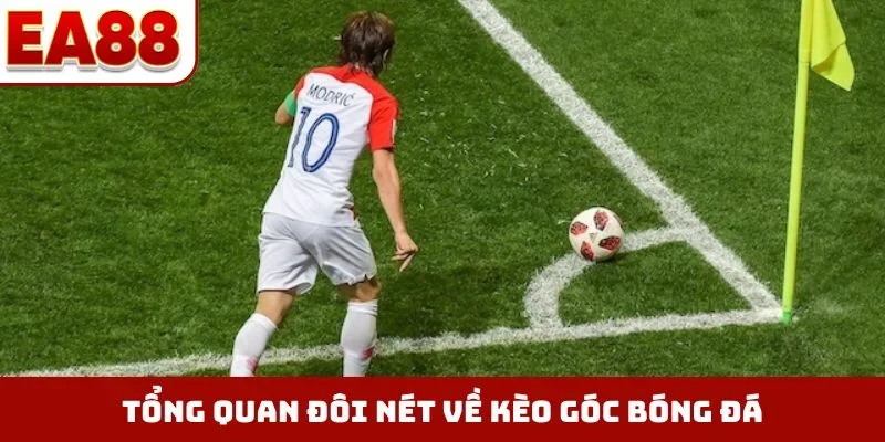 Tổng quan đôi nét về kèo góc bóng đá